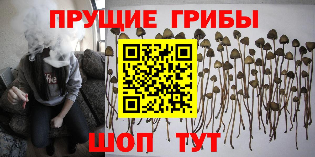 цена   Галлюциногенные грибы прущие грибы  Галлюциногенные грибы мухоморы  Вход с VPN  Знаменск 